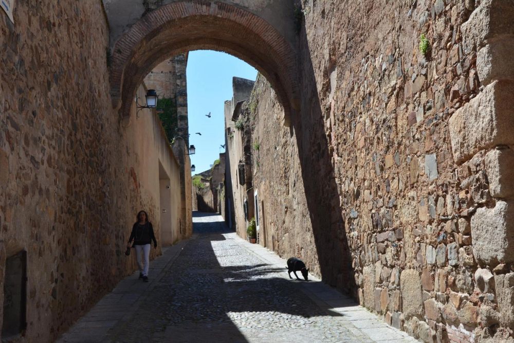 Caceres 2017