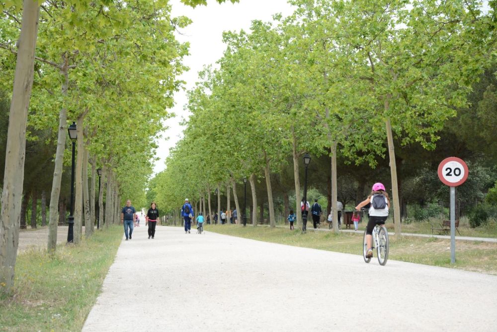 Parque polvoranca (Leganes) 10-06-2019