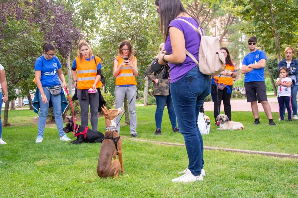 IV Ruta canina en Leganes 22-09-2019