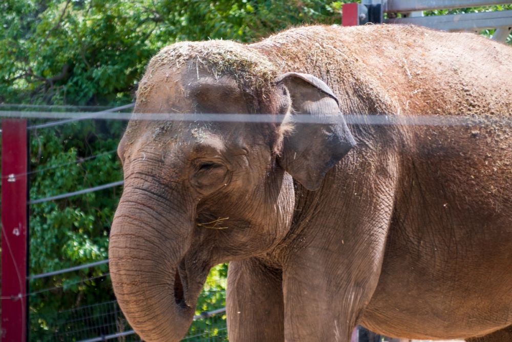 Zoo 17-08-2024