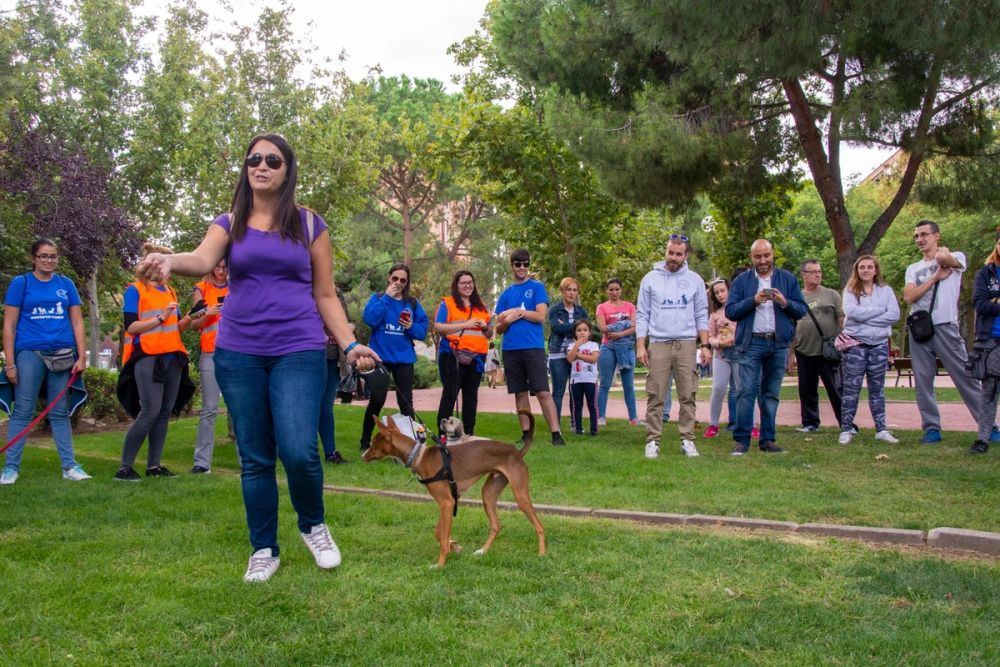 IV Ruta canina en Leganes 22-09-2019