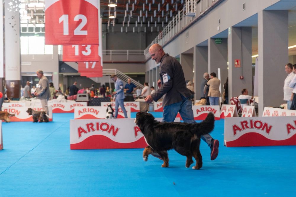 Exposicion canina (ciudad real) 01-06-2024