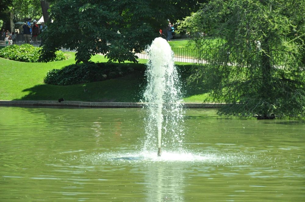 Parque del Retiro (Madrid) 30-05-2015