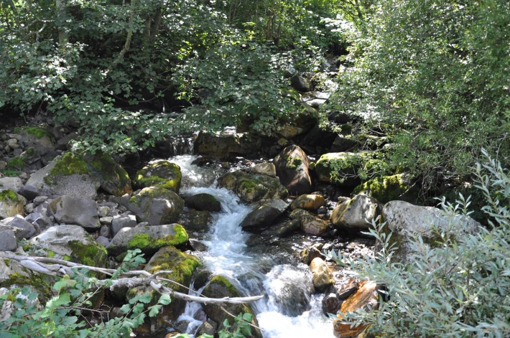 Babia (Leon/Asturias) 2014