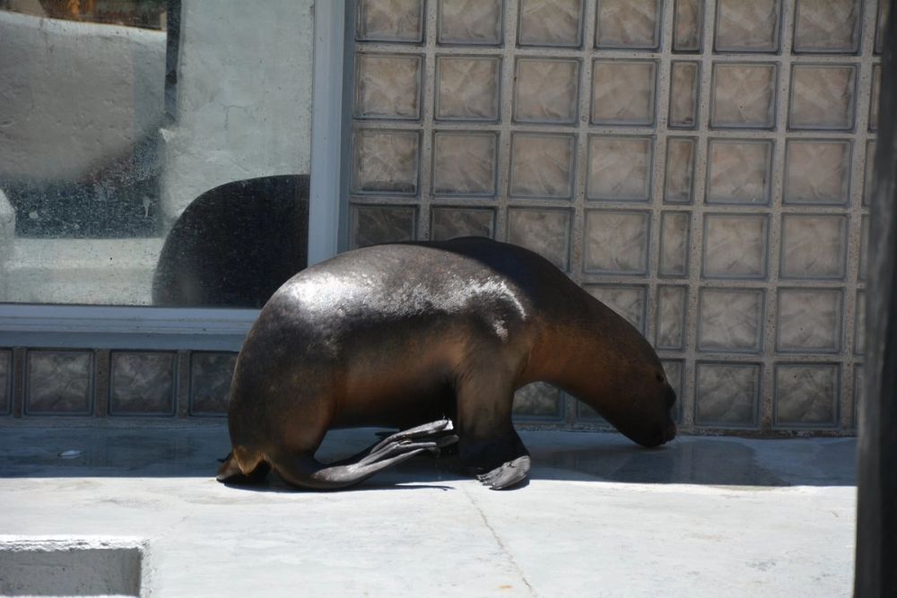 zoo 07-07-2018
