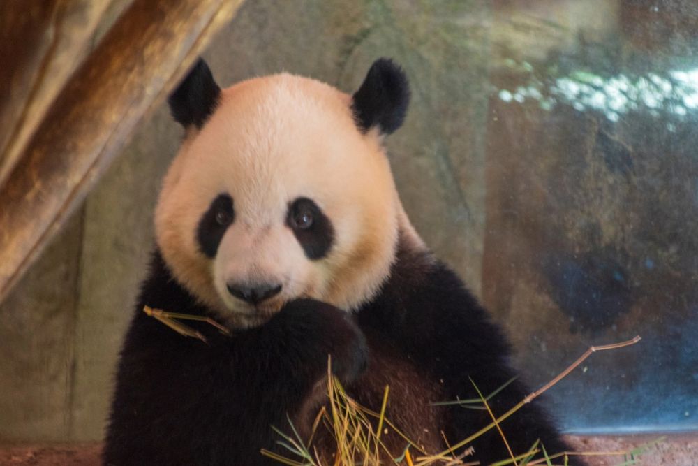 Zoo 17-08-2024