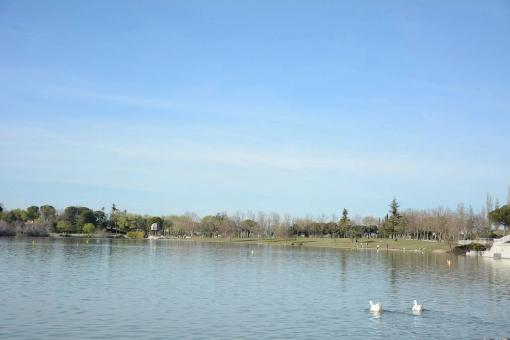Parque Polvoranca (Leganes) 18-03-2017