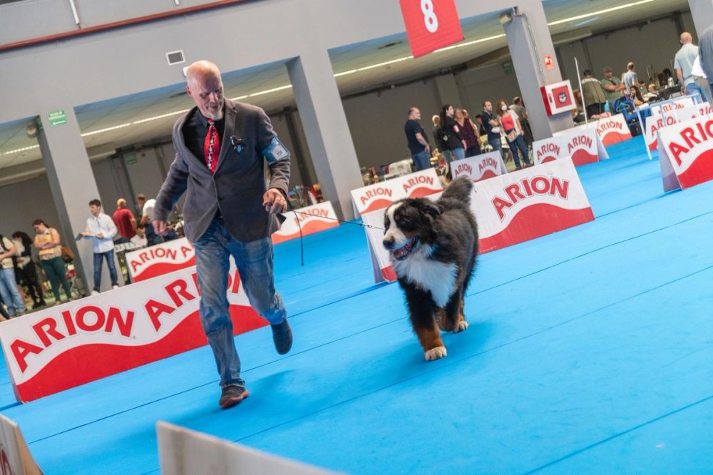 Exposicion canina (ciudad real) 01-06-2024