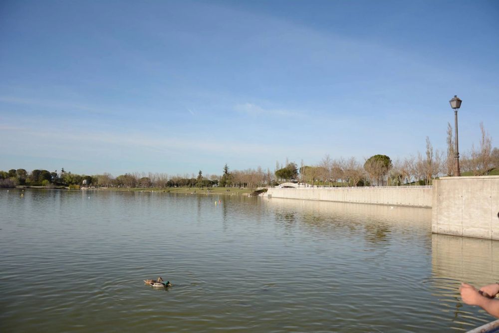 Parque Polvoranca (Leganes) 18-03-2017
