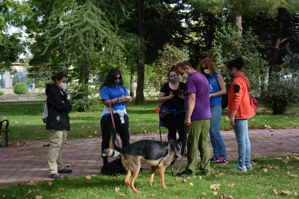 V ruta canina de Leganes 20-09-2020