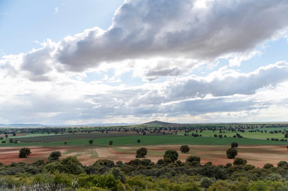 Sierra de Corral de Almaguer 03-05-2025