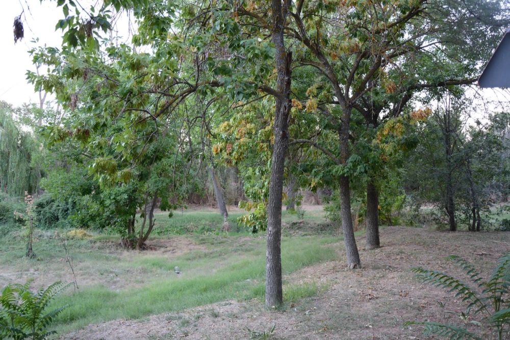 Parque Polvoranca (Leganes) 20-08-2017