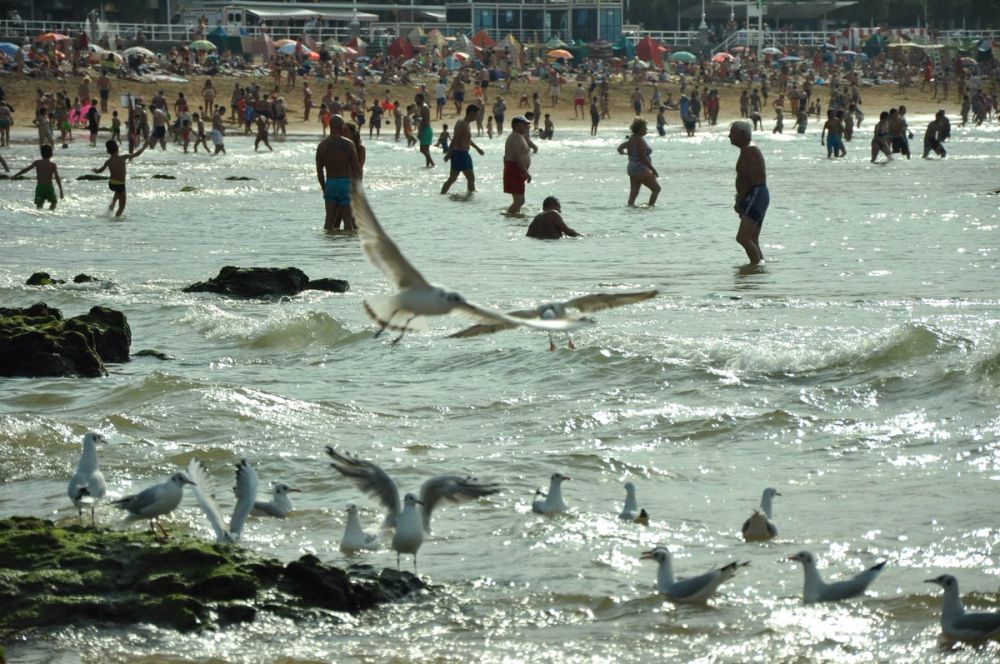 Gijon 2014