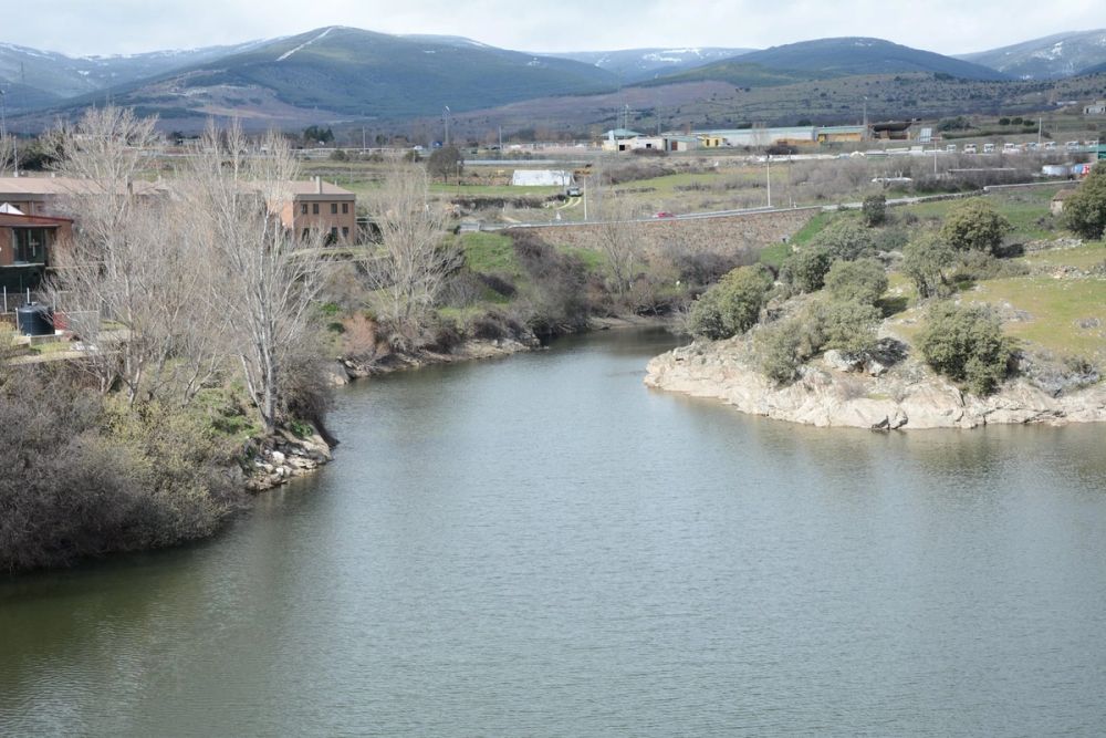 Buitrazo de Lozoya 04-03-2017