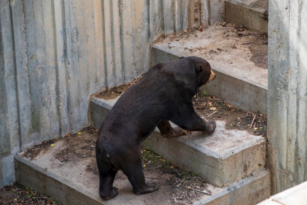 Zoo 17-08-2024