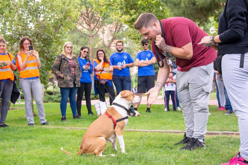 IV Ruta canina en Leganes 22-09-2019