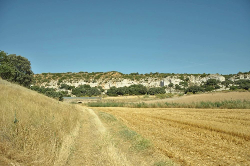 Valle de Lillo 2017