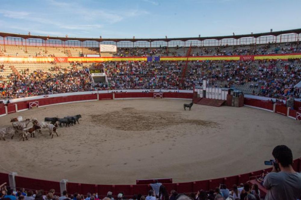 Toros en Colmenar Viejo 22-08-2019