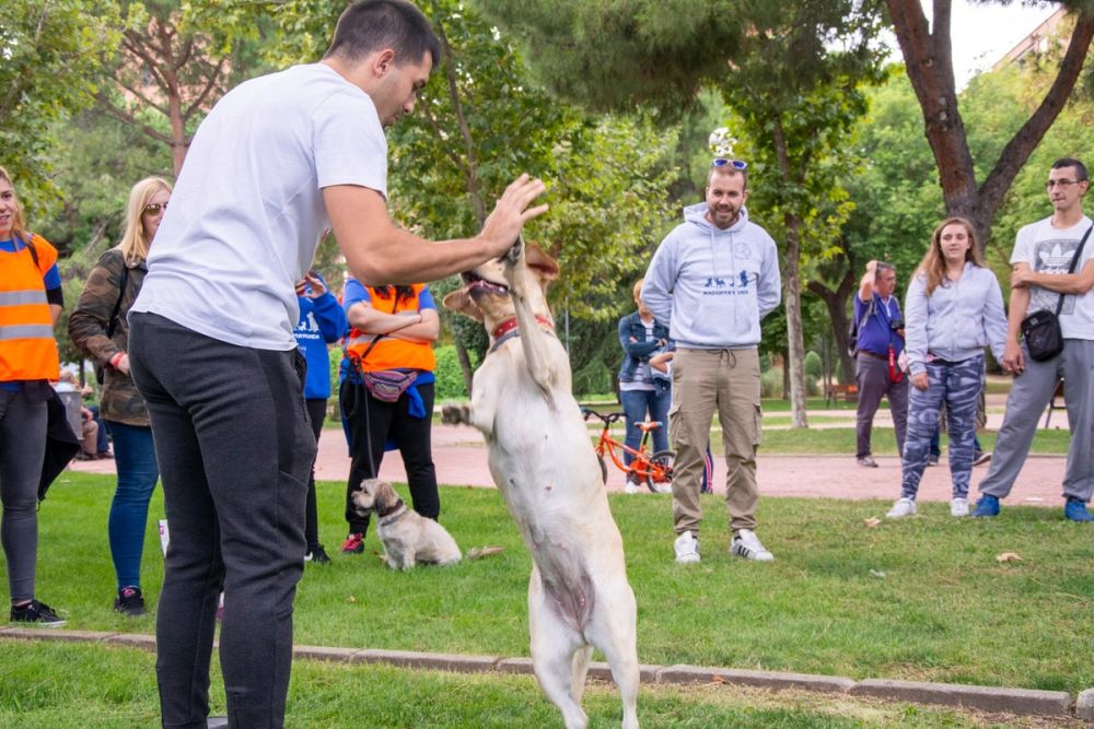 IV Ruta canina en Leganes 22-09-2019