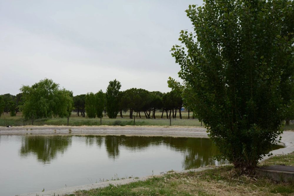 Parque polvoranca (Leganes) 10-06-2019