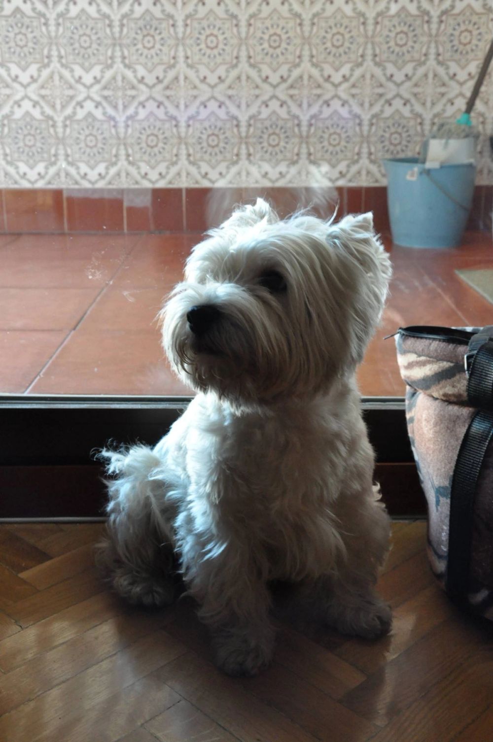 Luckky