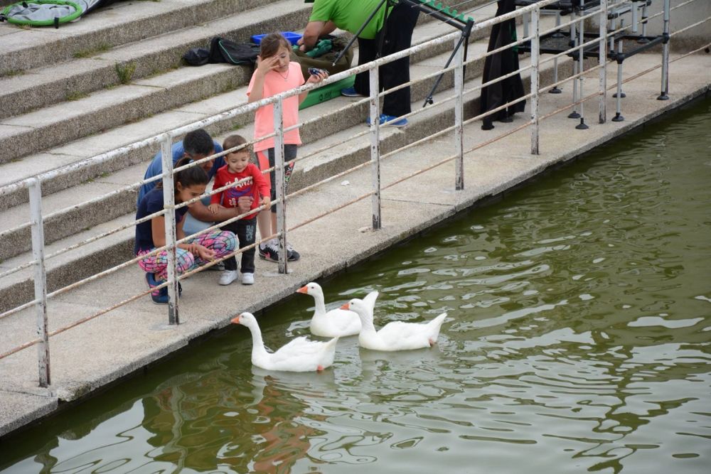 Parque polvoranca (Leganes) 10-06-2019