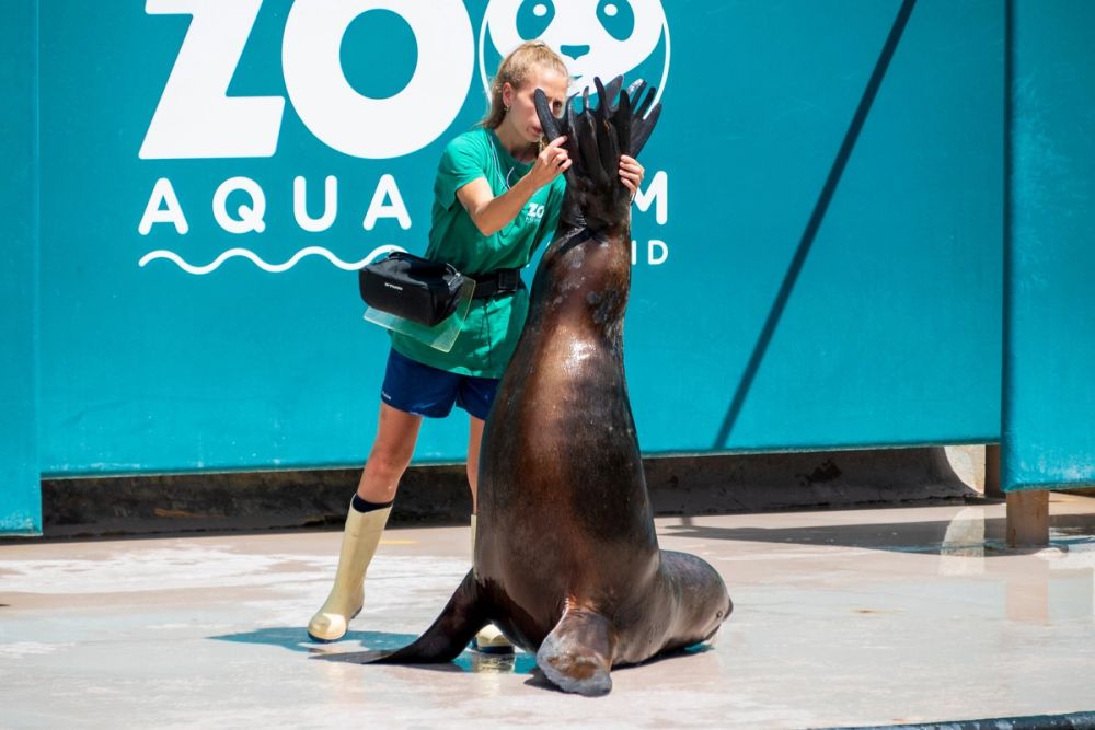 Zoo 17-08-2024