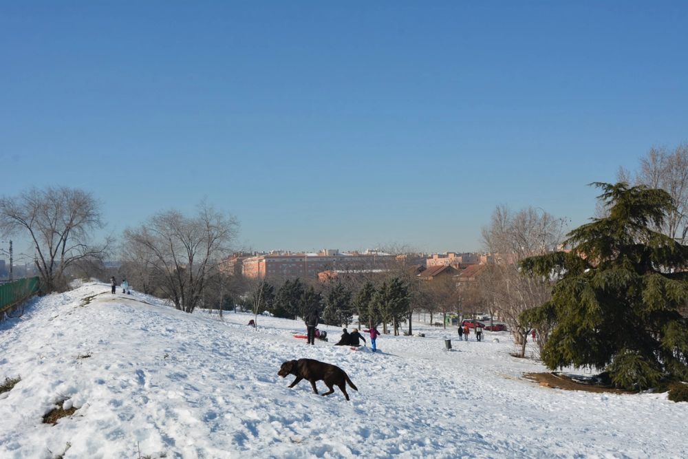 Conan en la nieve (leganes) 2021
