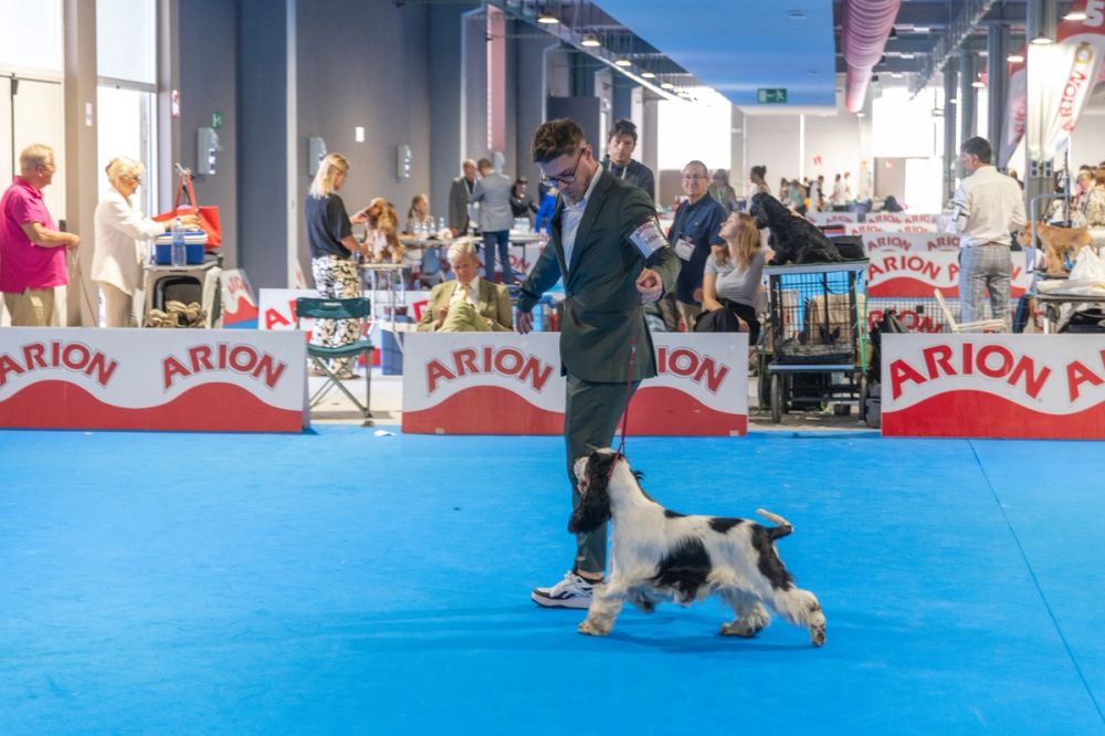 Exposicion canina (ciudad real) 02-06-2024