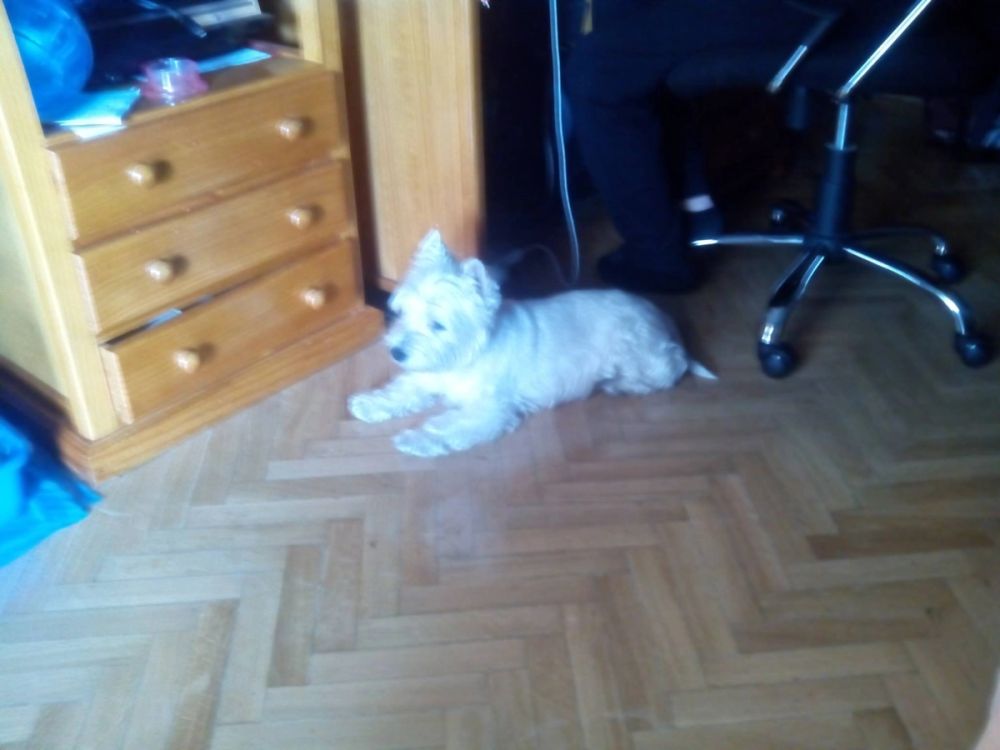 Luckky