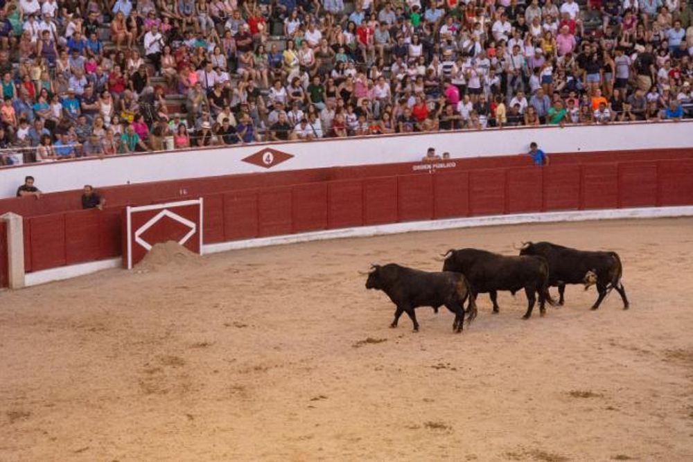 Toros en Colmenar Viejo 22-08-2019