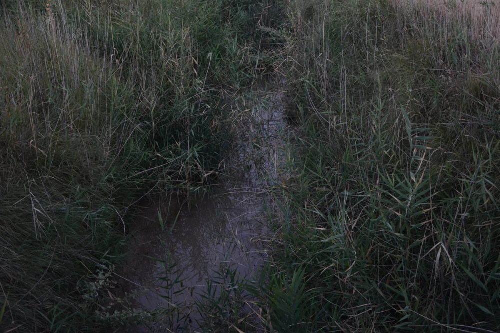 Lagunas de la guardia y Ermita del Santo Niño (La guardia) 2020
