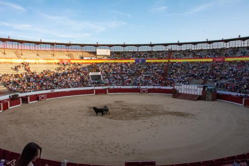Toros en Colmenar Viejo 22-08-2019