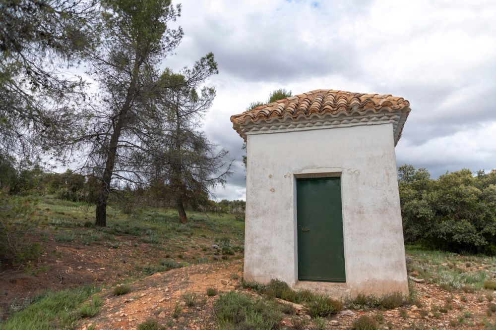 Sierra de Corral de Almaguer 03-05-2025