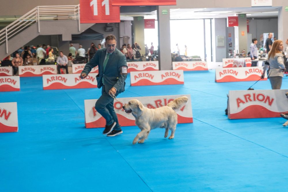 Exposicion canina (ciudad real) 01-06-2024