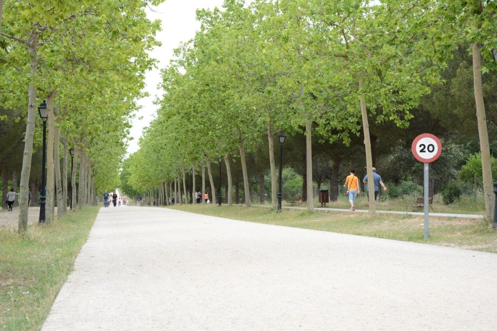 Parque polvoranca (Leganes) 10-06-2019
