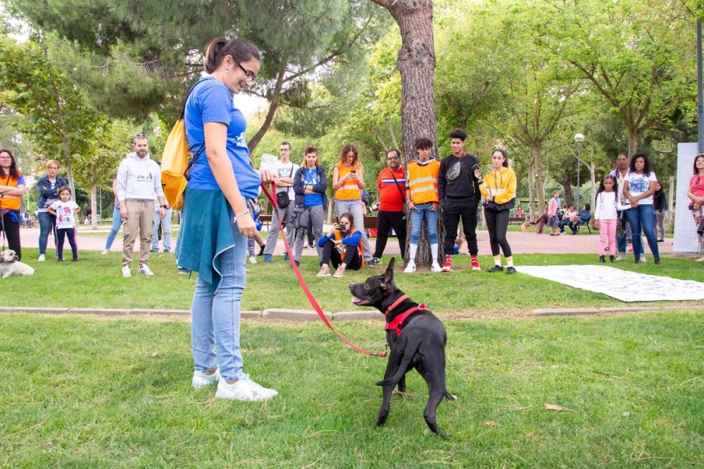 IV Ruta canina en Leganes 22-09-2019