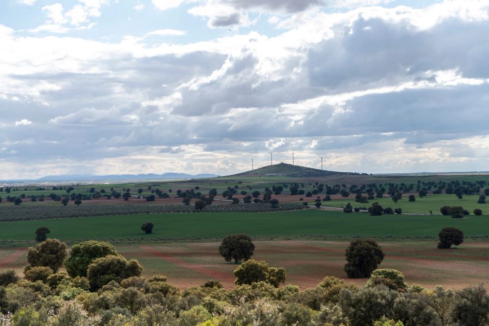 Sierra de Corral de Almaguer 03-05-2025