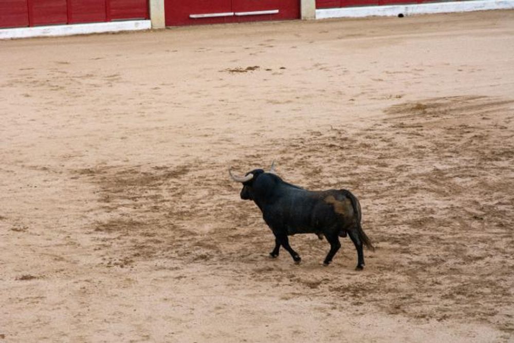 Toros en Colmenar Viejo 22-08-2019