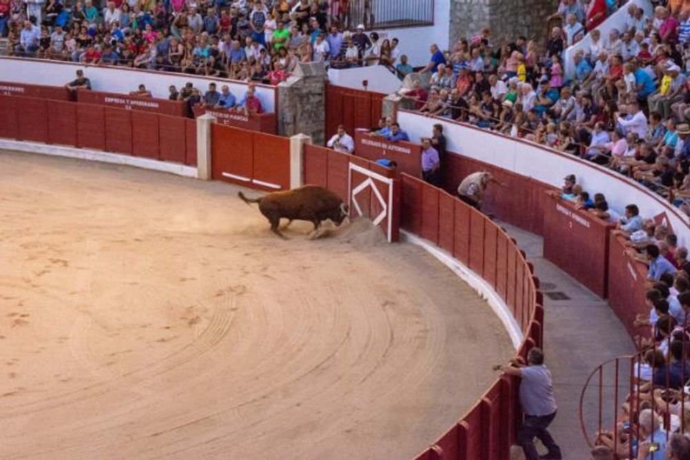 Toros en Colmenar Viejo 22-08-2019