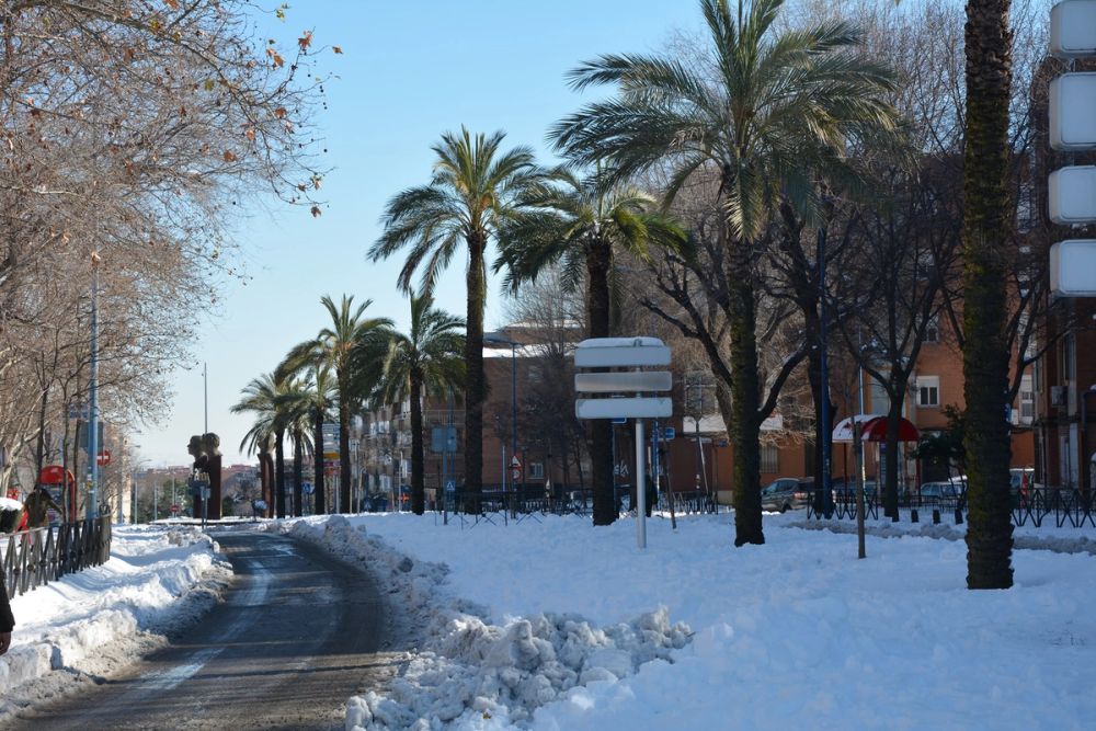 Leganes Nevado 2021 Dia 2