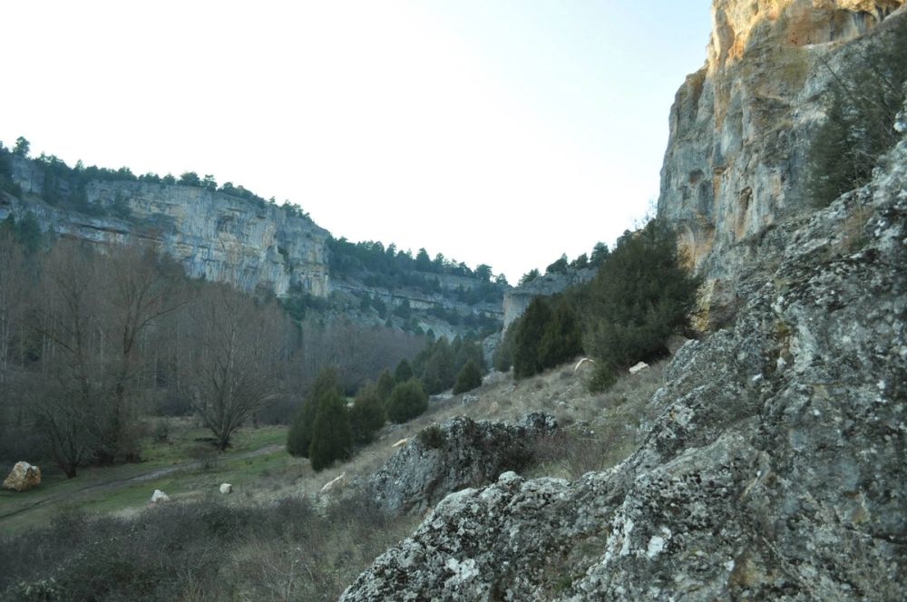 Rio lobos (Burgos/Soria) 2012