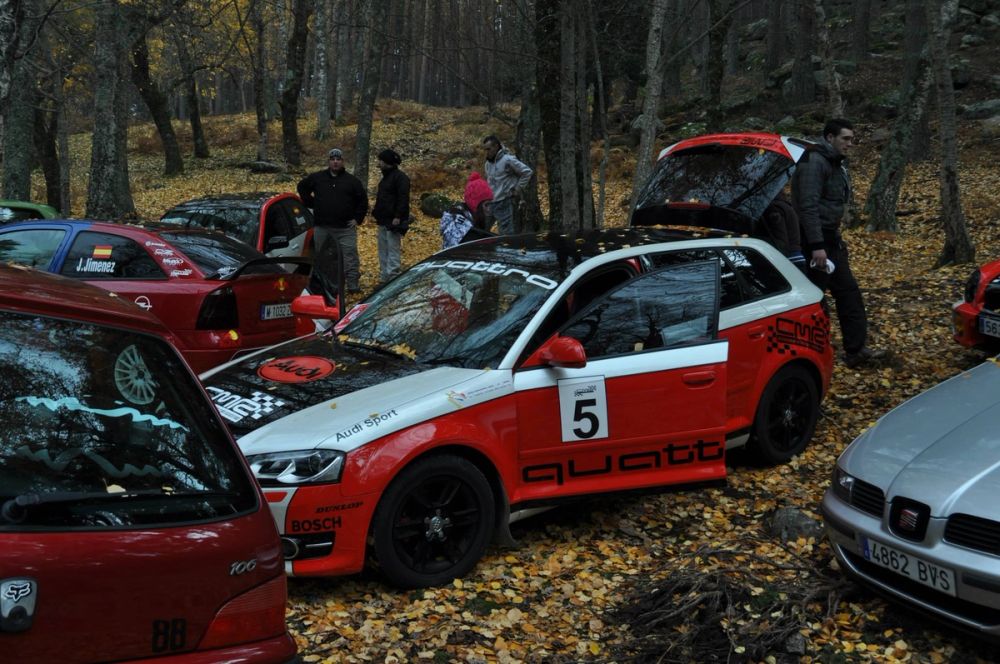 Torneo de rallys 25-11-2012