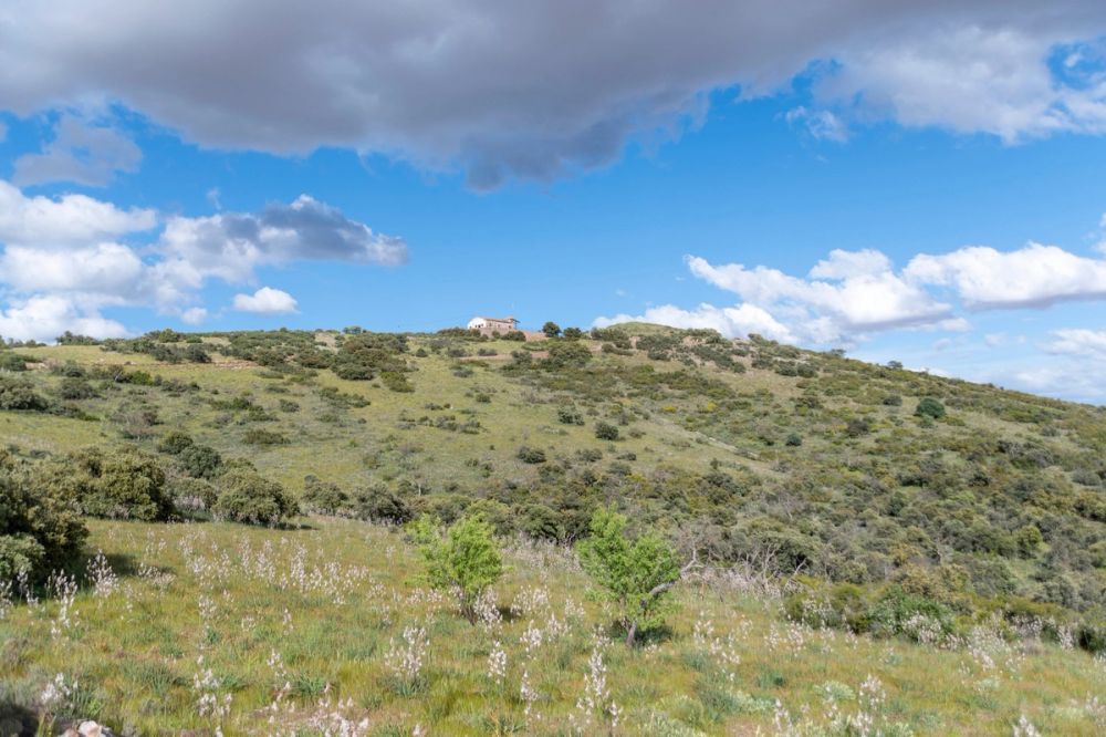 Sierra de Corral de Almaguer 03-05-2025