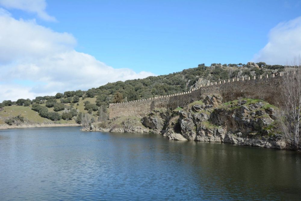 Buitrazo de Lozoya 04-03-2017