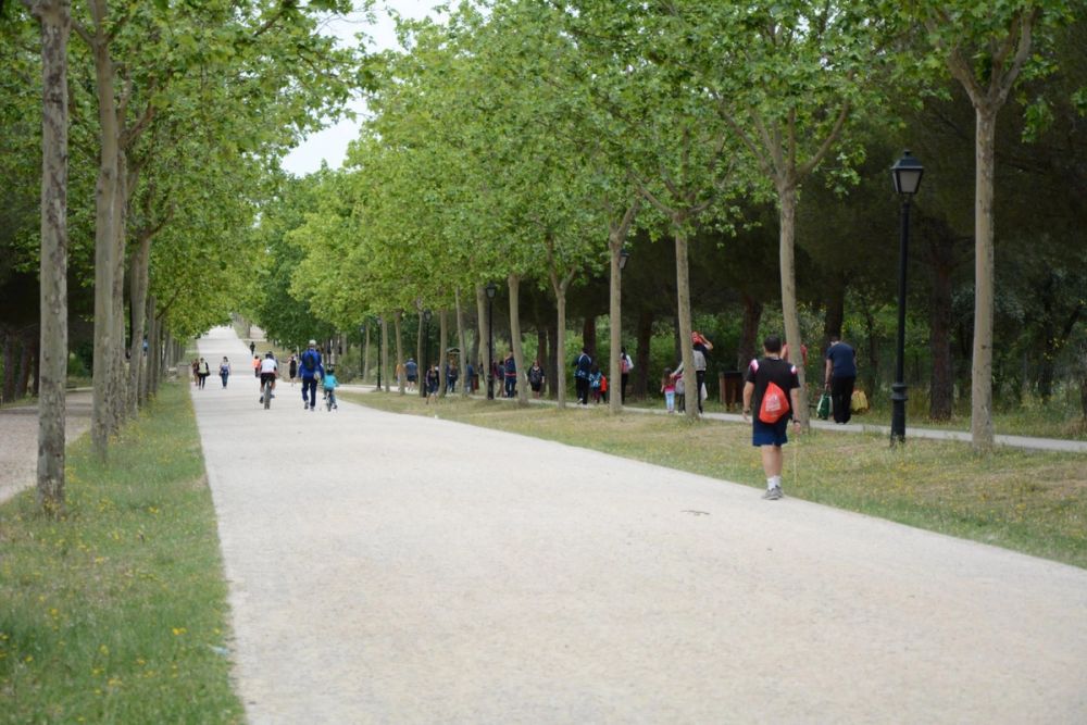 Parque polvoranca (Leganes) 10-06-2019