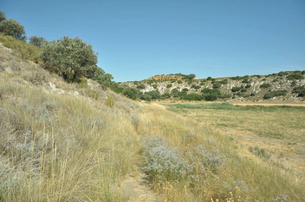 Valle de Lillo 2017