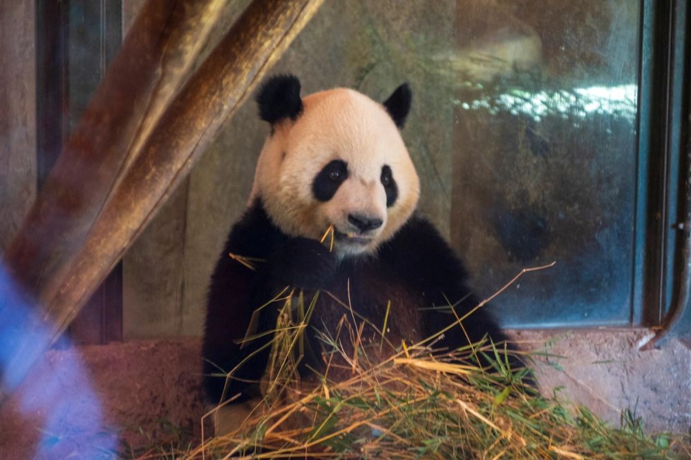 Zoo 17-08-2024