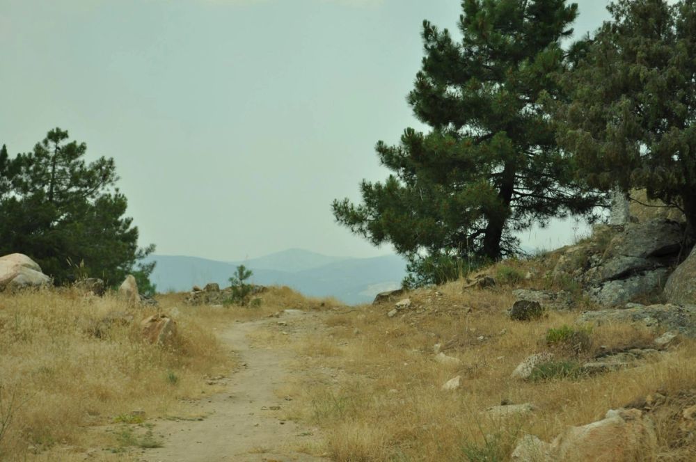 Berrecil de la sierra 10-07-2013