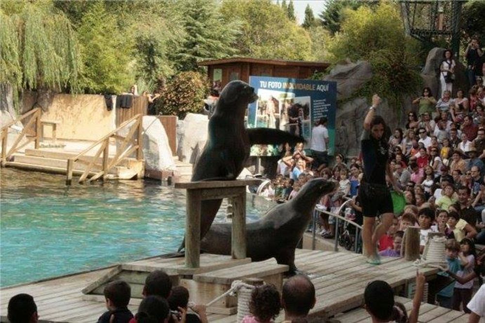 Faunia 2010